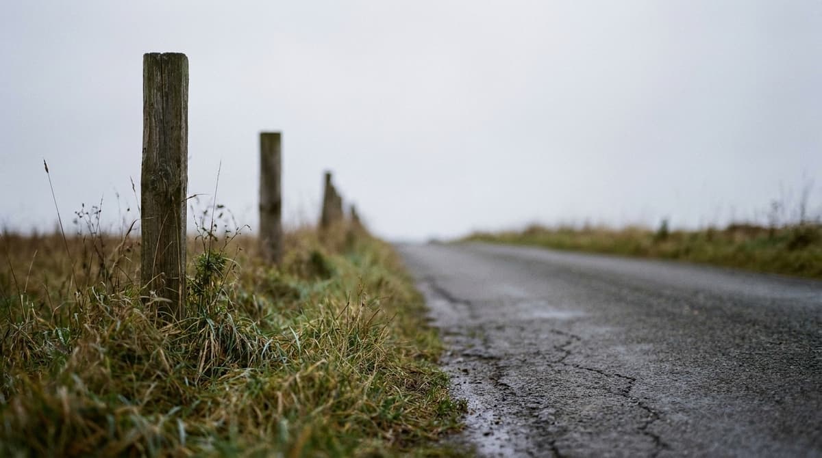 New Jersey easement and eminent domain laws: road right-of-way takings
