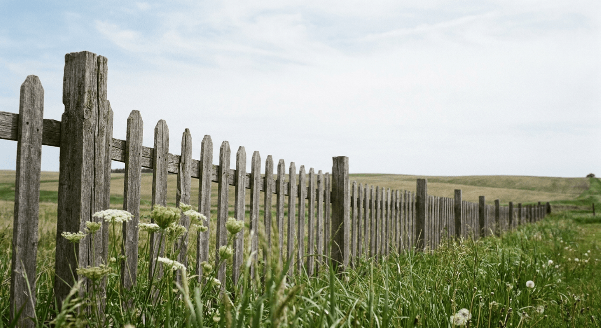weathered wooden picket fence along a grassy field under a wide pale sky